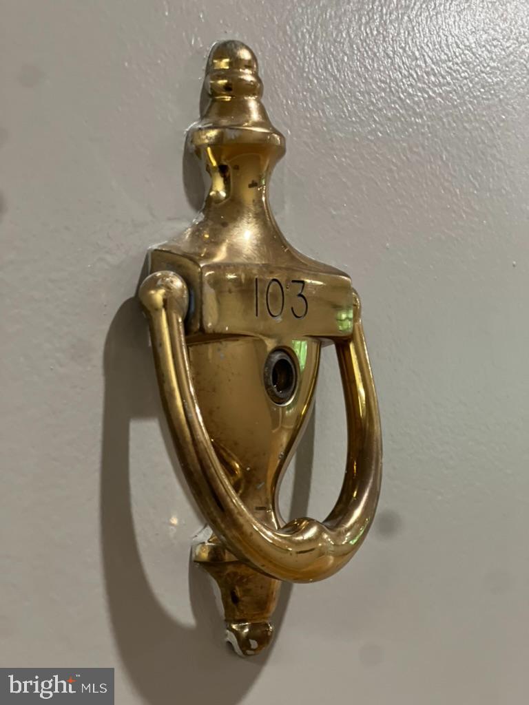 7600 TREMAYNE PLACE 103