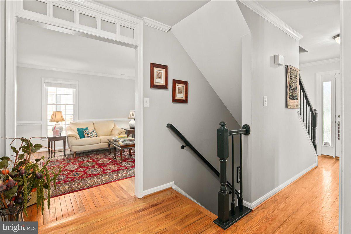 6582 FORSYTHIA STREET