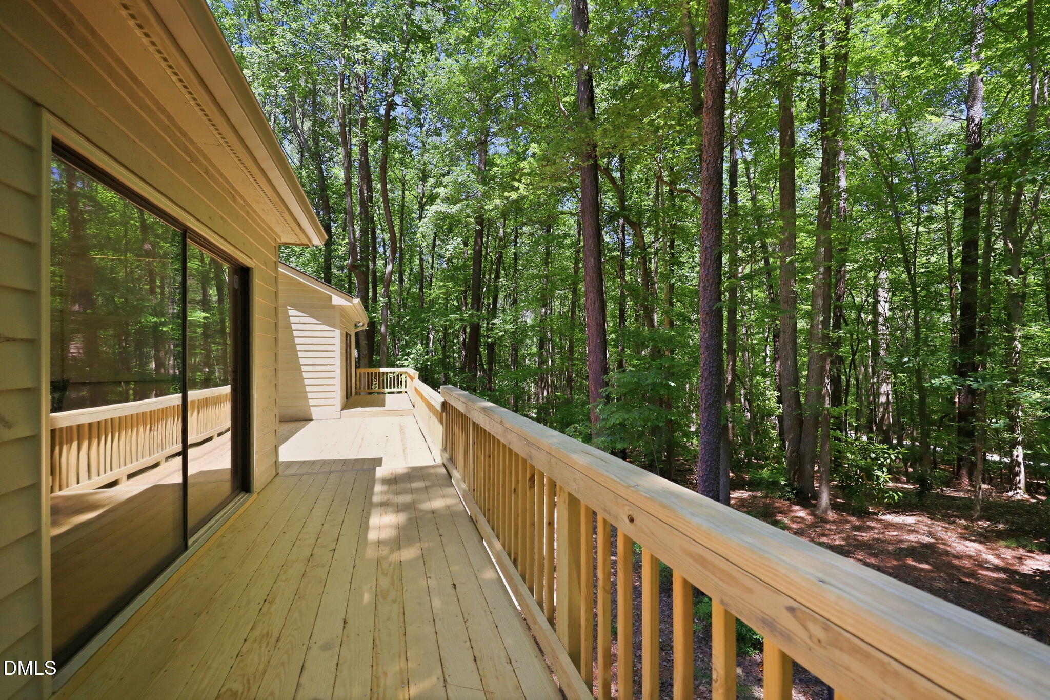 12308 Dolans Way