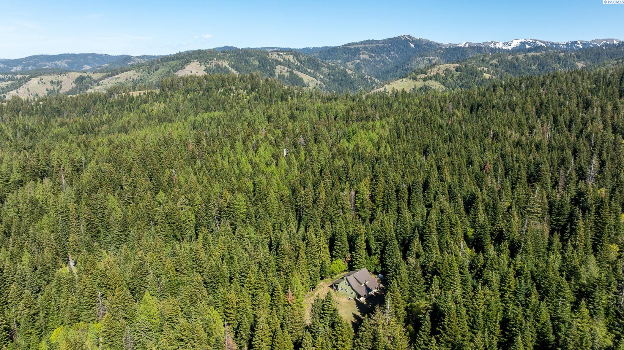 9400 Lewis Peak Road