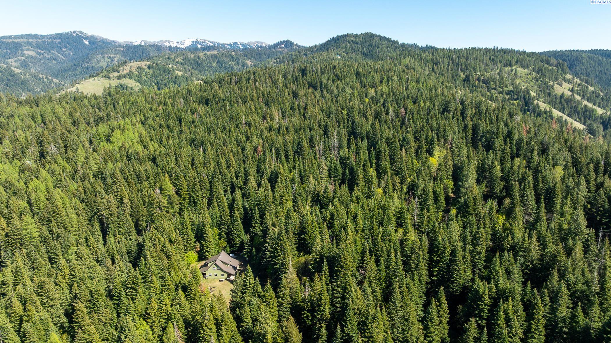 9400 Lewis Peak Road