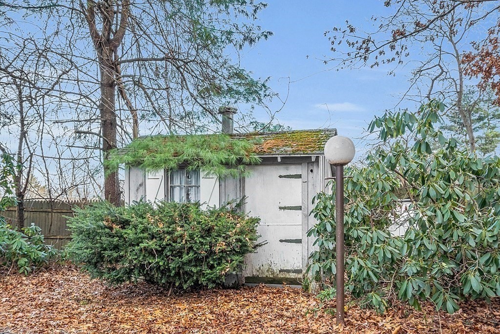 White garden shed with a mossy roof, surrounded by shrubs and fallen leaves.