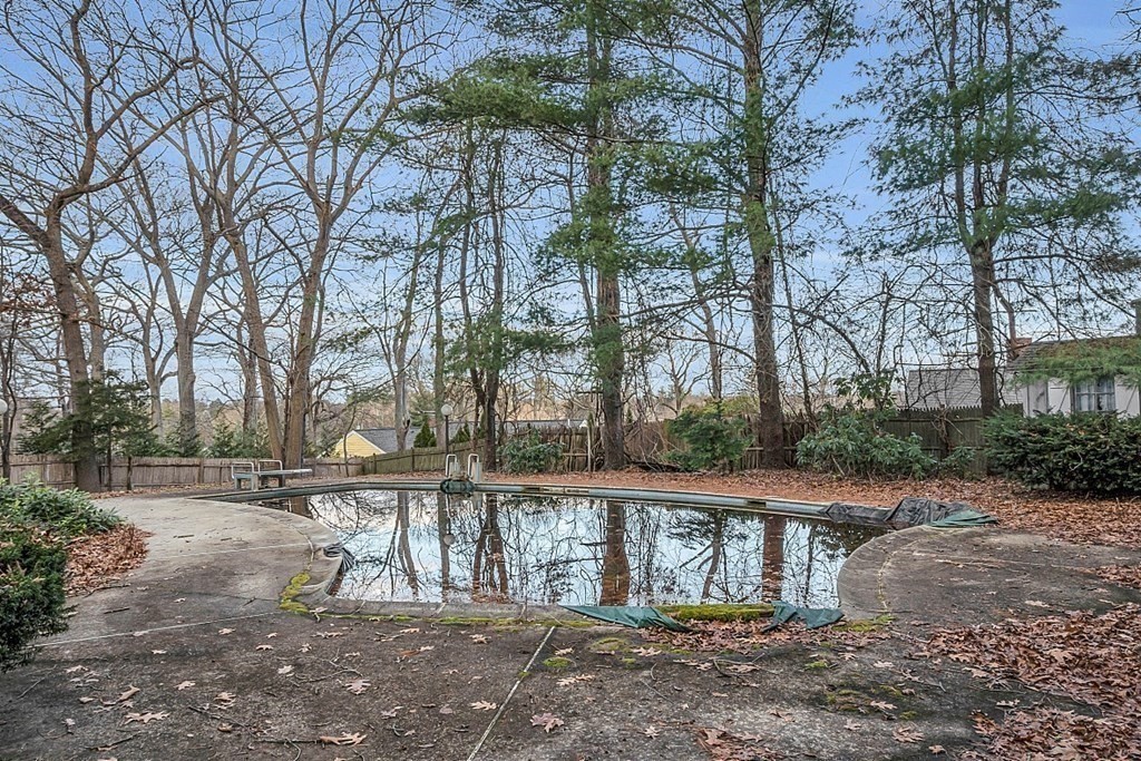 Backyard swimming pool with a curved patio, partially covered beneath tall trees.