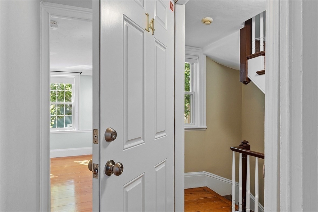 7 Andrew Street # 14