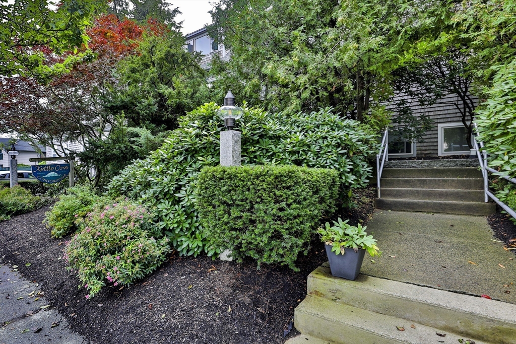 45 Raymond Street # 7