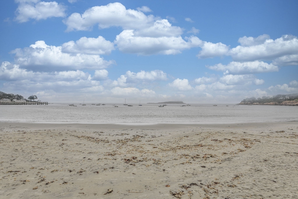 45 Raymond Street # 7