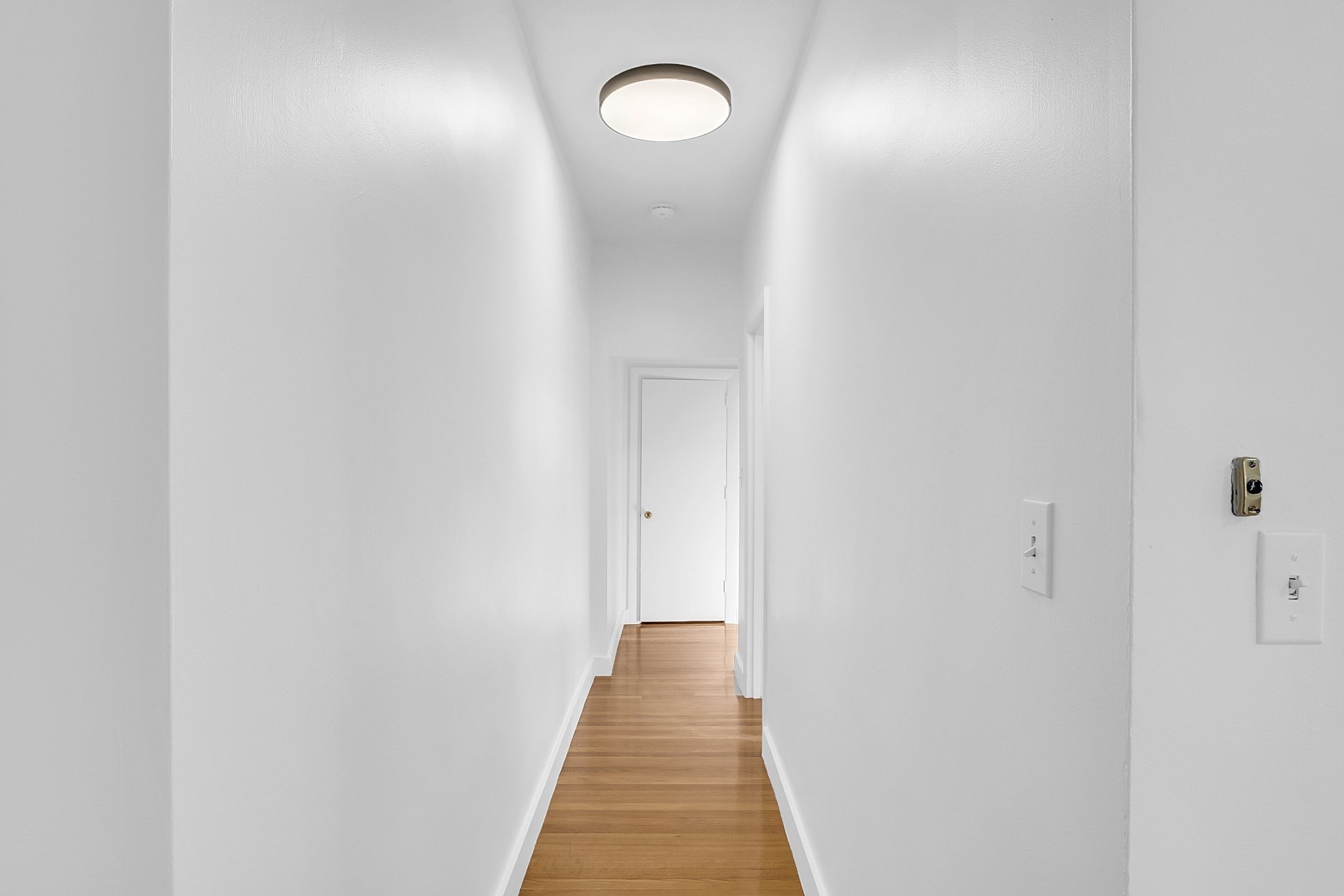 52 Bonair Street # 6