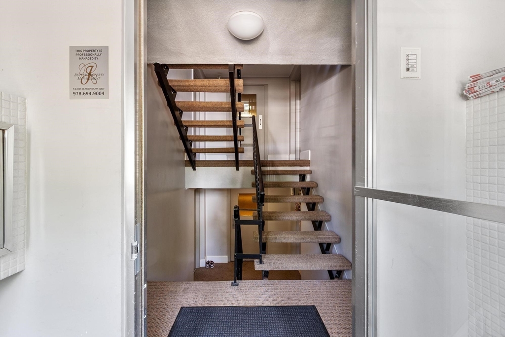 276 Albion Street # 12