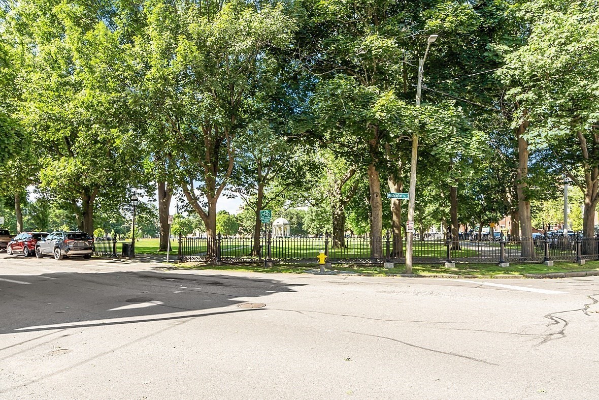 Tree-shaded park behind a black iron fence, with a gazebo and parked cars across the street.