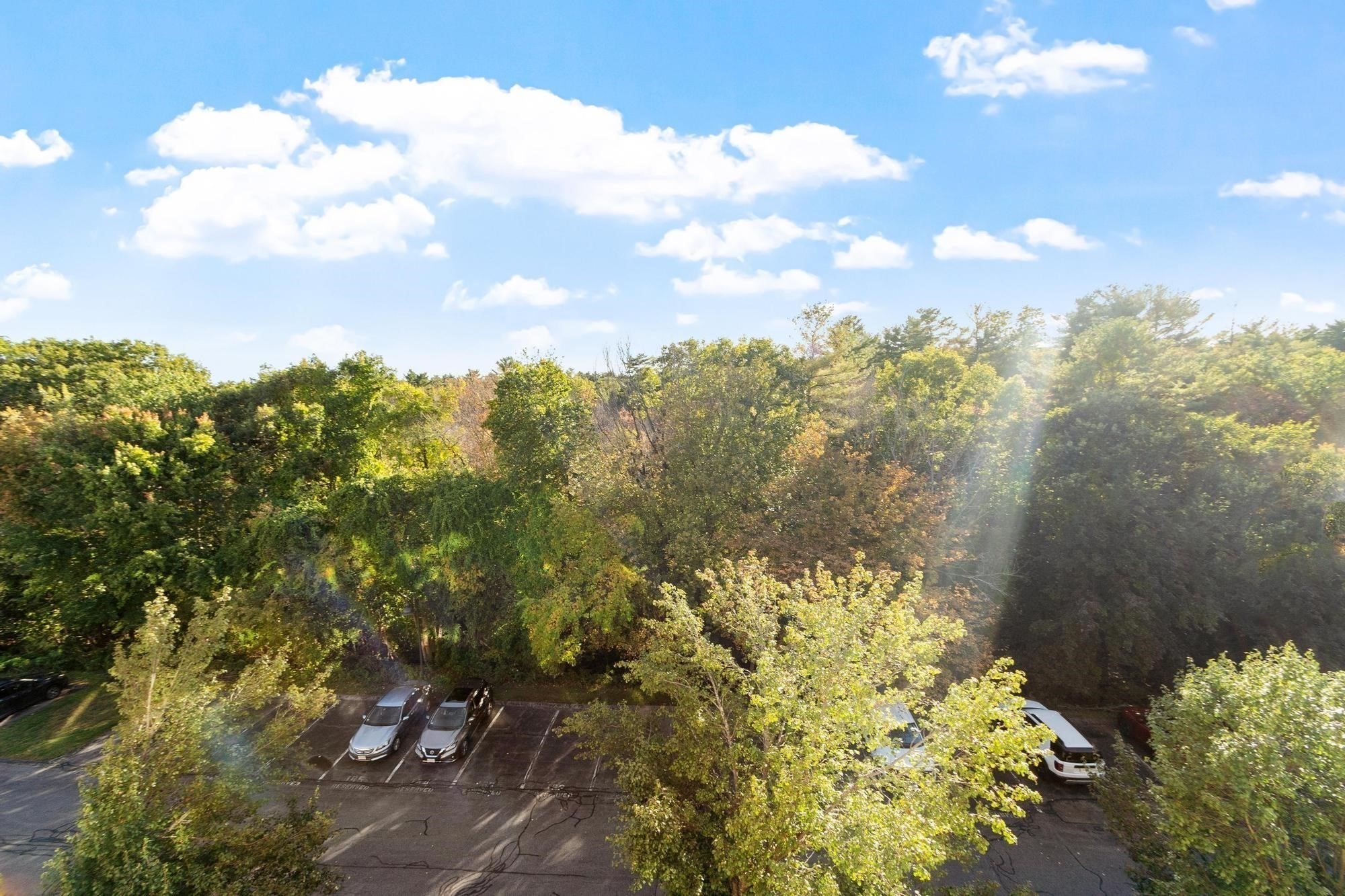 Wooded view beyond a parking area, with autumn foliage and parked cars.