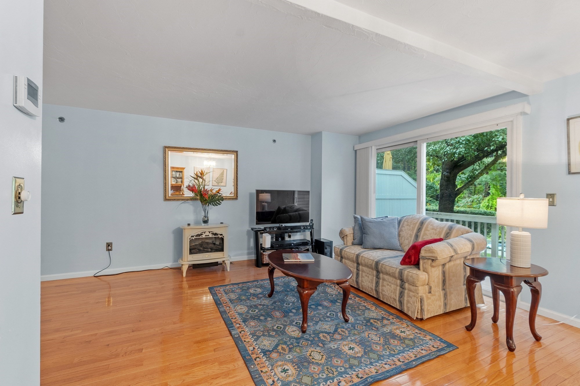 Living room with a patterned rug, hardwood floors, sofa, and sliding doors to a leafy deck.