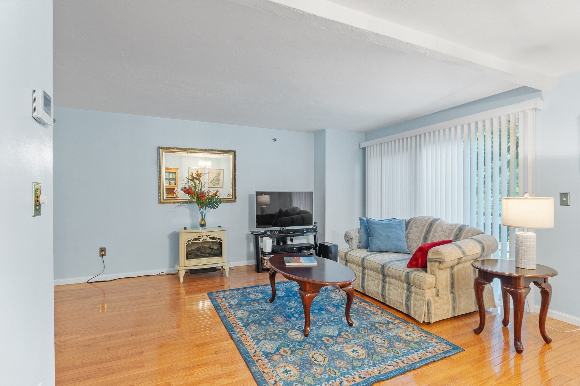 Living room with a patterned sofa, blue rug, television, and polished hardwood floors.