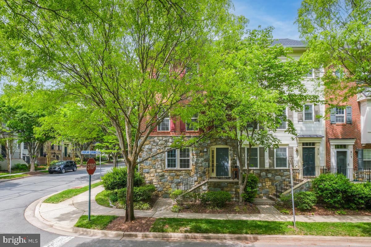 217 POPLAR SPRING ROAD