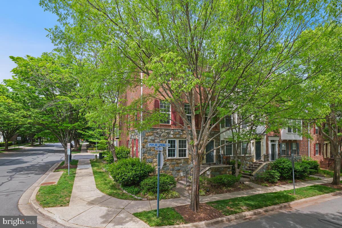 217 POPLAR SPRING ROAD