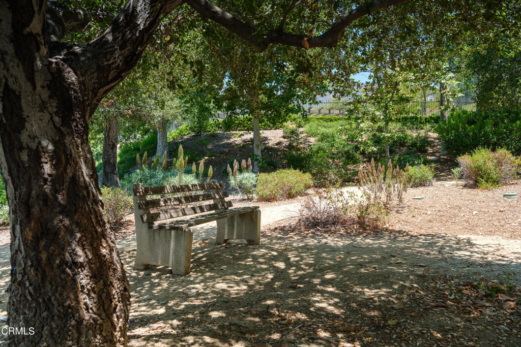 646 Church Canyon Place