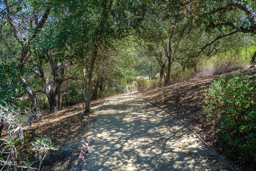 3921 Chapman Court