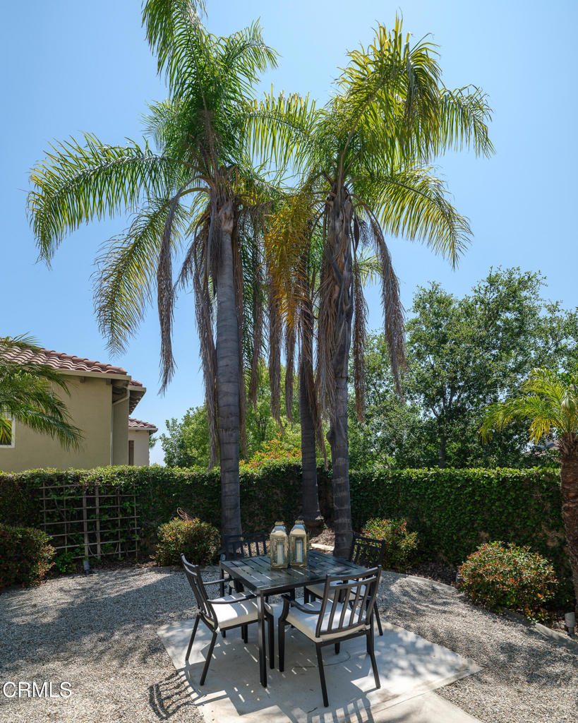 3921 Chapman Court