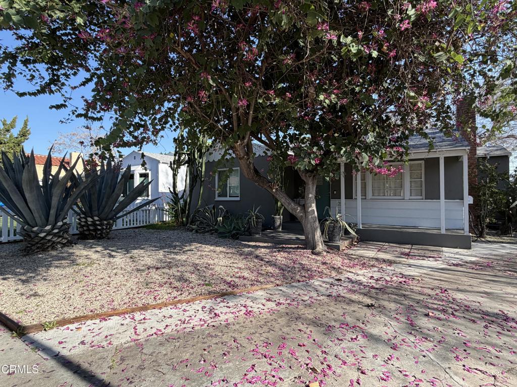 230 W Elmwood Avenue