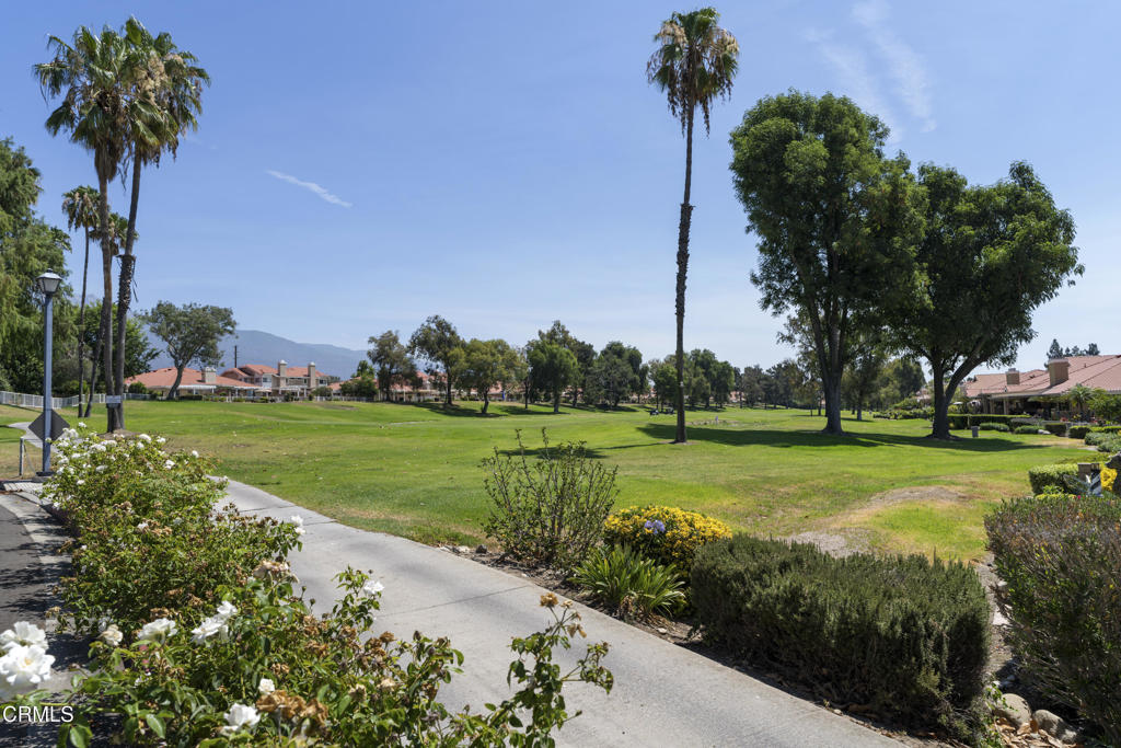 1549 Spyglass Drive