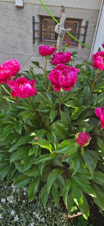 6605 Huntridge Hill NE