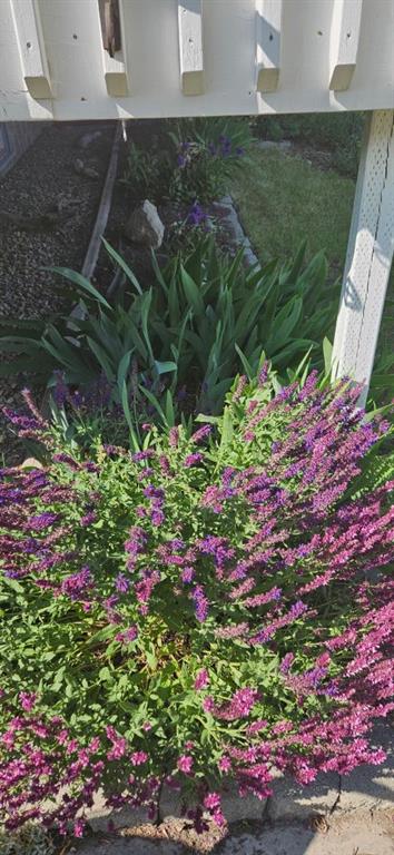 6605 Huntridge Hill NE