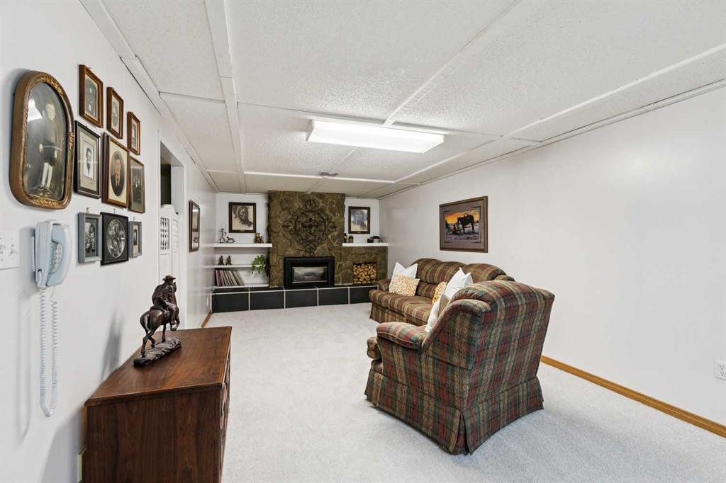 Basement family room with plaid seating, a stone fireplace, and built-in shelves.