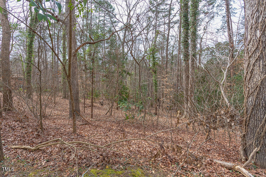 409 Granville Road, Chapel Hill