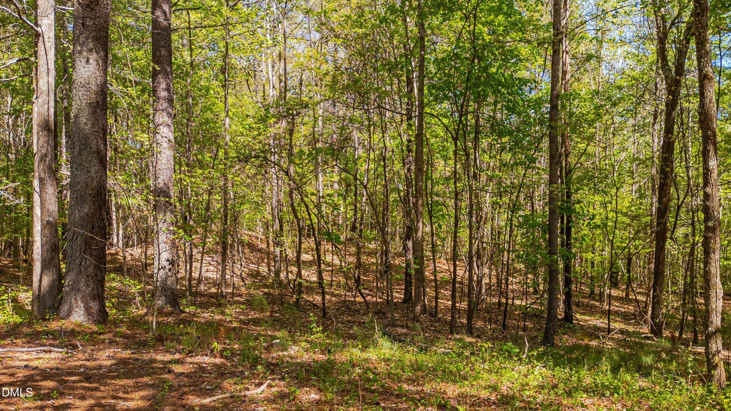 771 Smith Level Road