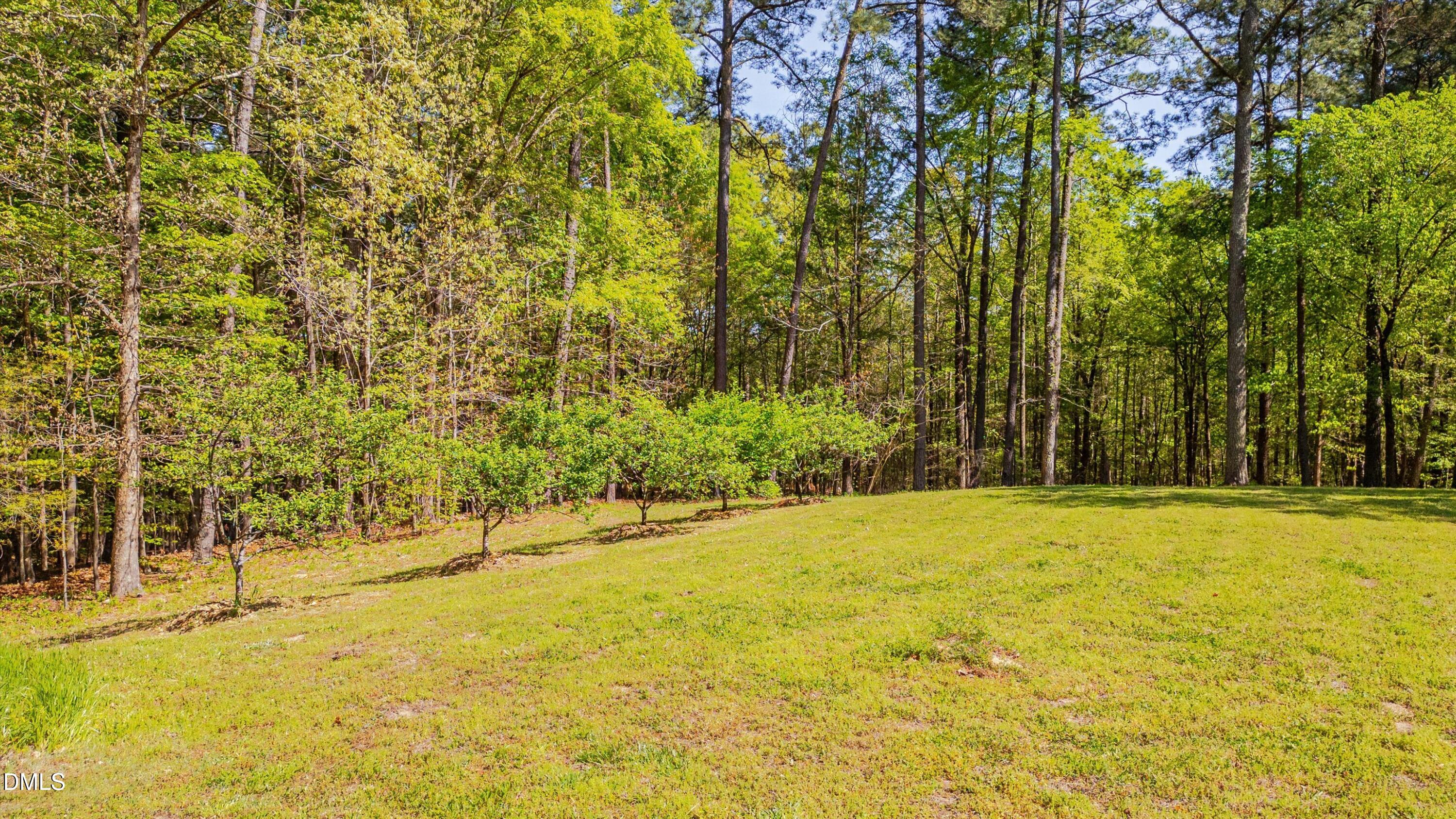 771 Smith Level Road