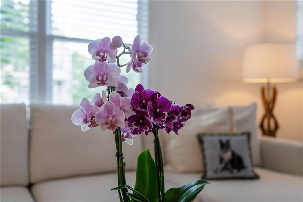 1392 Hawthorne Avenue SE