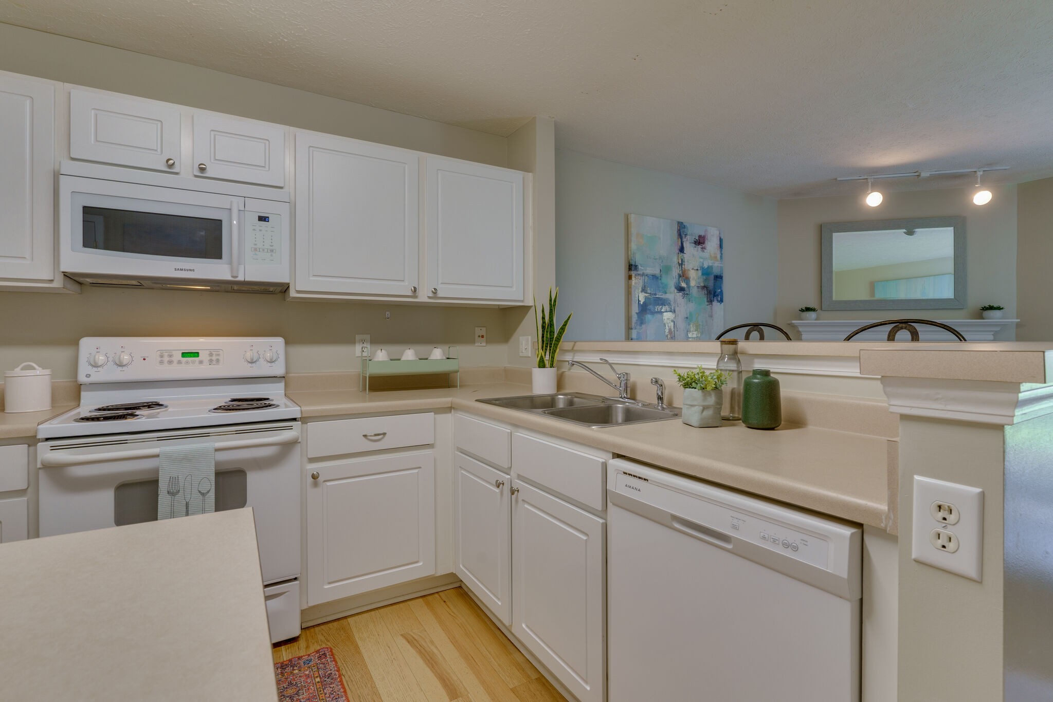 3207 Harpeth Springs Dr