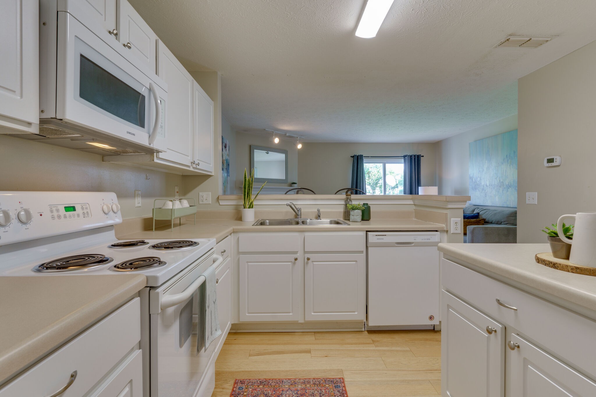 3207 Harpeth Springs Dr