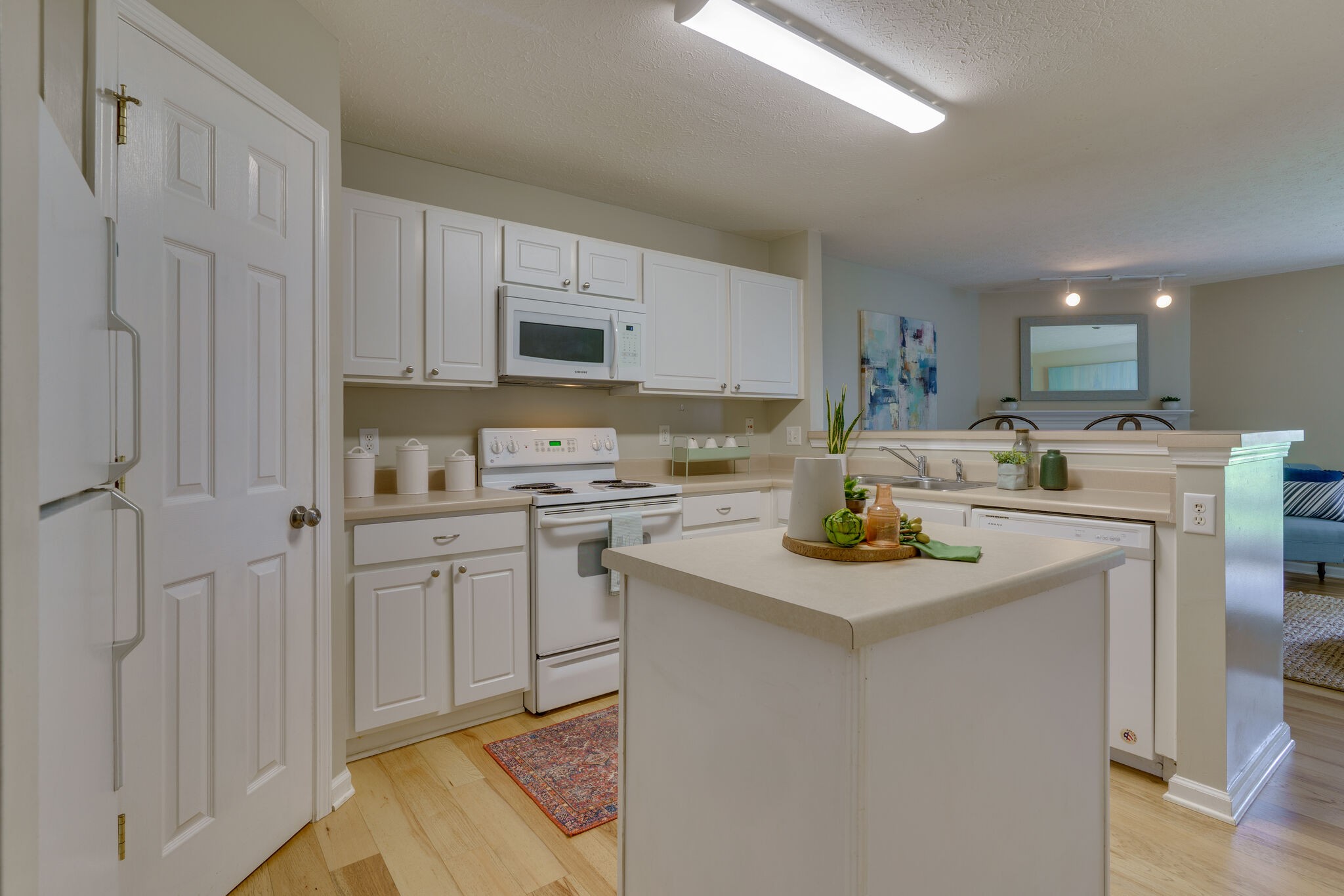 3207 Harpeth Springs Dr