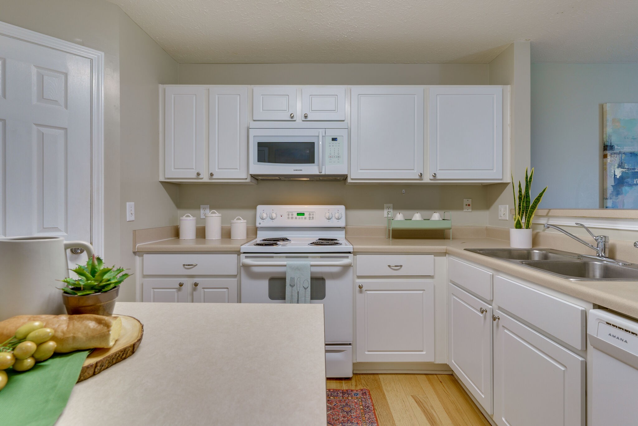 3207 Harpeth Springs Dr