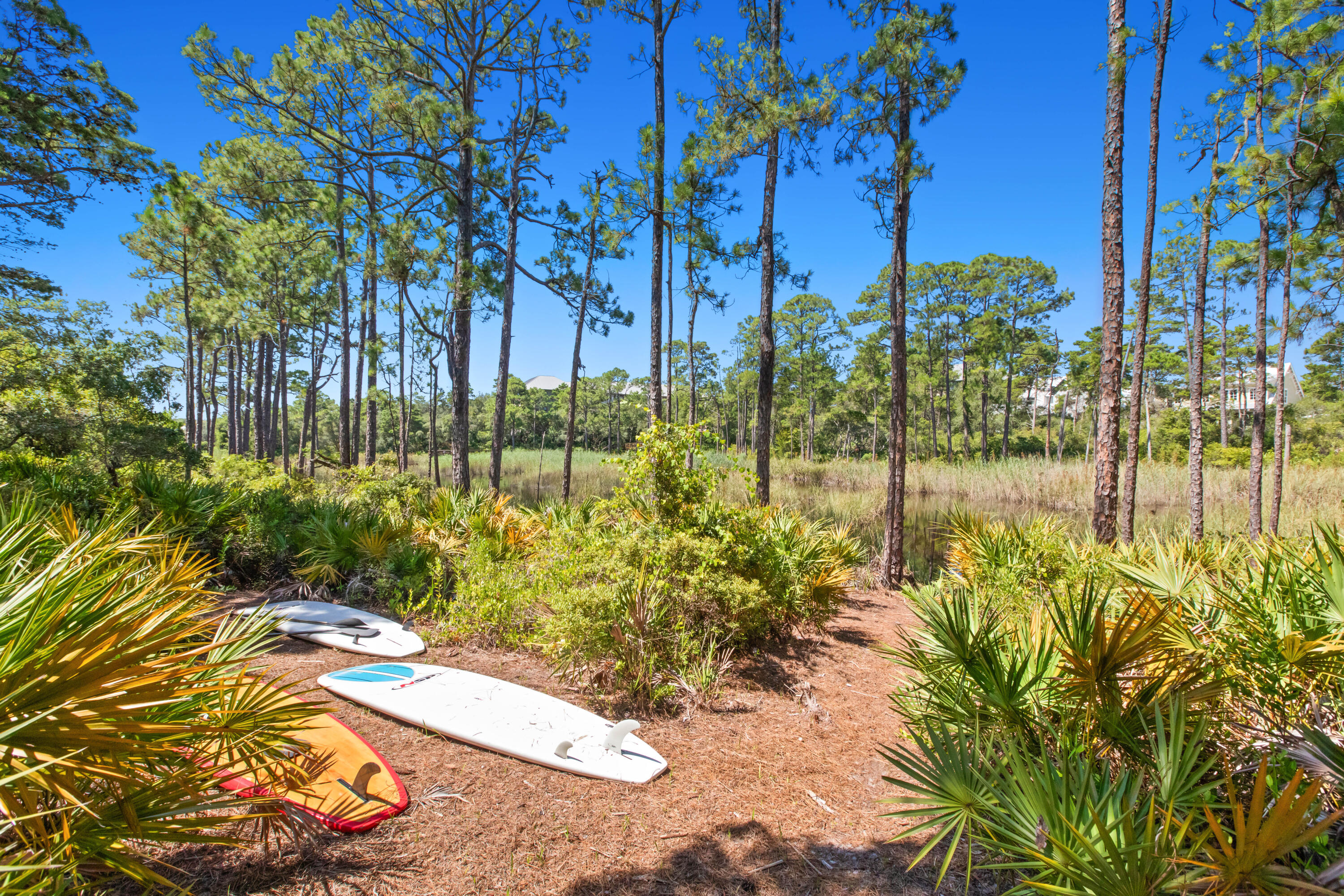 363 Matts Way