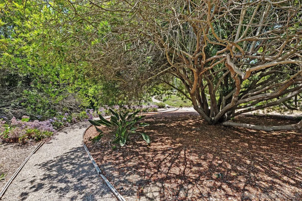 17240 Avenida De Acacias