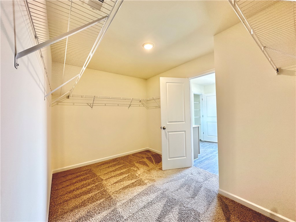 511 Seaborn Circle