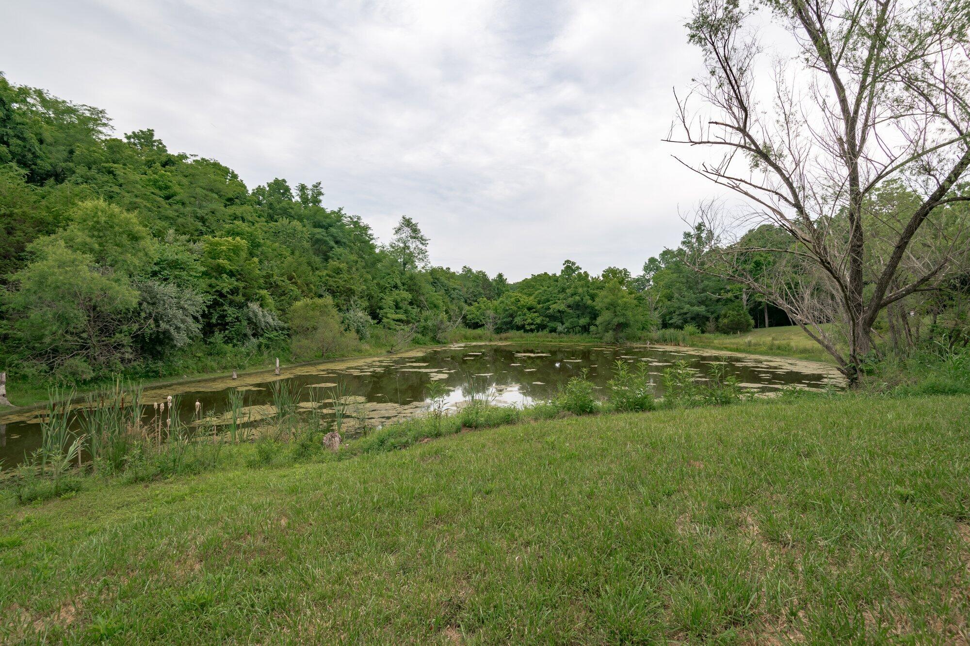 2344 Whitson Road