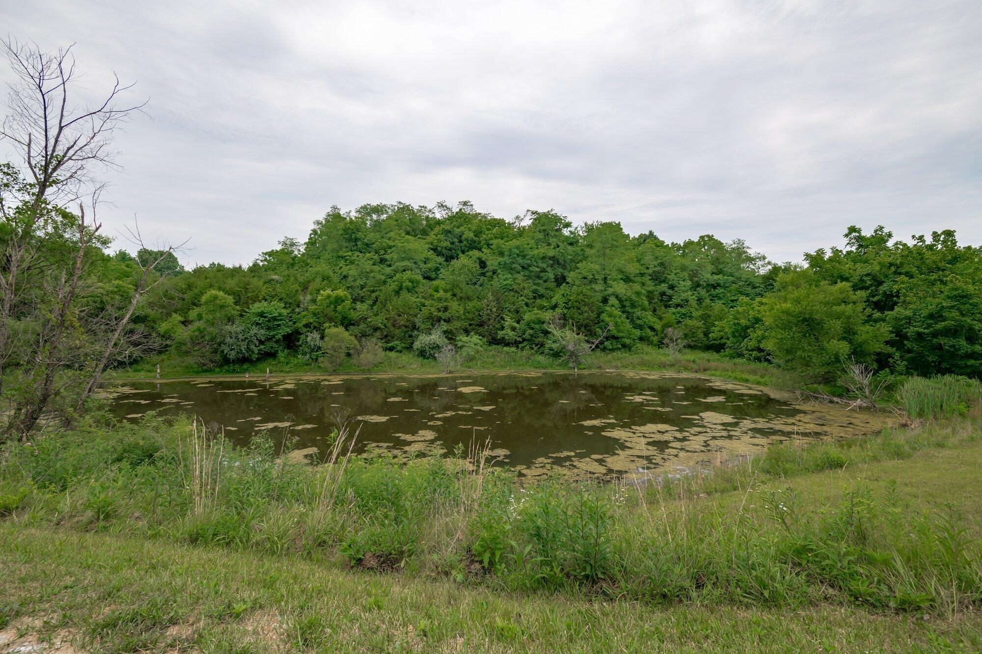 2344 Whitson Road