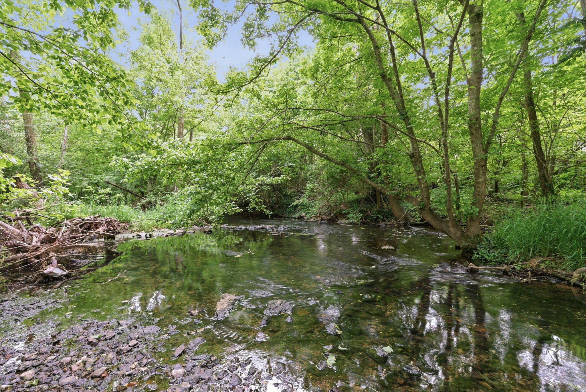 123 River Run Court