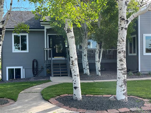 3447 Wild Rose Circle