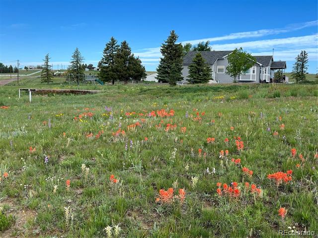3447 Wild Rose Circle