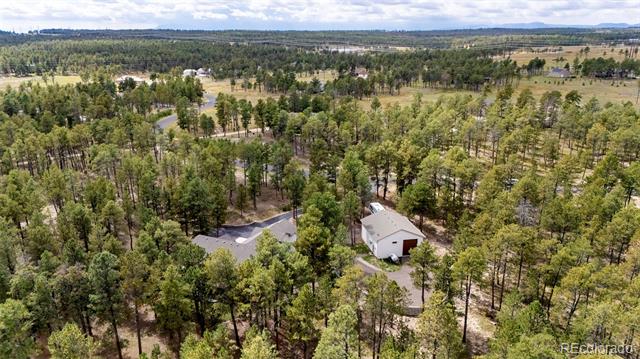 12683 Fulford Court