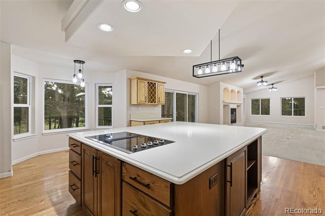 12683 Fulford Court