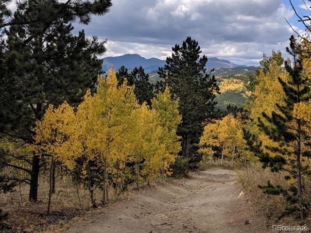 0 Bald Mountain and York Gulch Roads