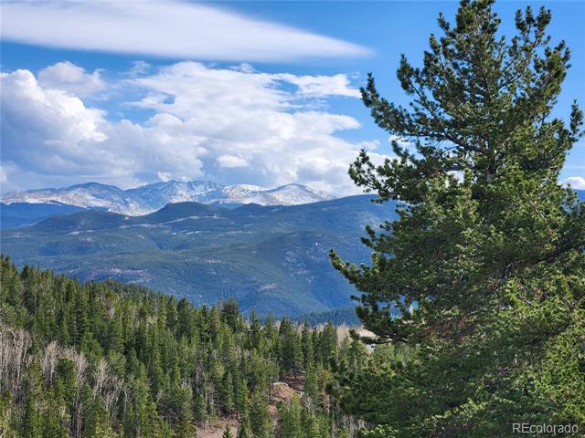 0 Bald Mountain and York Gulch Roads