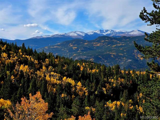 0 Bald Mountain and York Gulch Roads