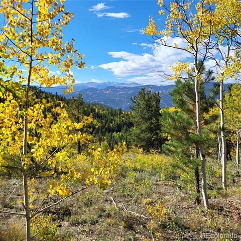 0 Bald Mountain and York Gulch Roads