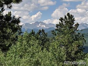 0 Bald Mountain and York Gulch Roads