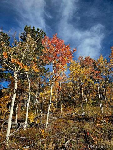 0 Bald Mountain and York Gulch Roads